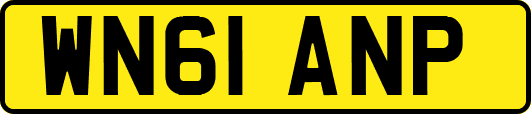 WN61ANP