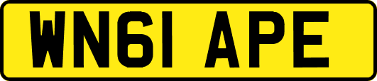 WN61APE