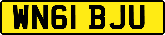 WN61BJU