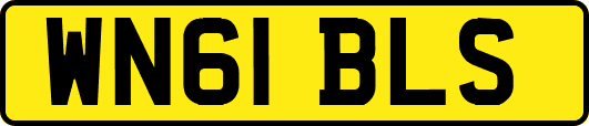 WN61BLS