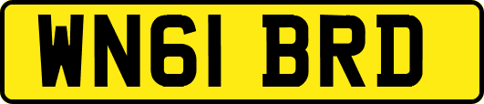WN61BRD