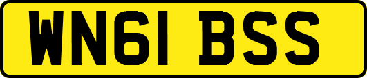 WN61BSS