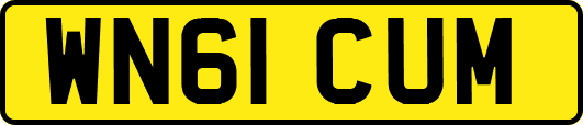 WN61CUM