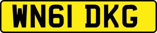 WN61DKG