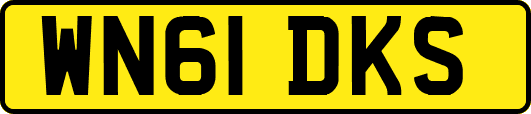WN61DKS