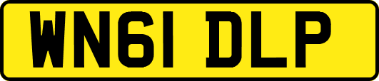 WN61DLP