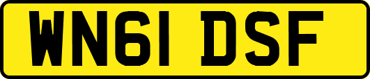 WN61DSF