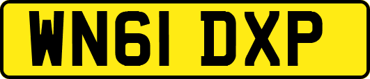 WN61DXP