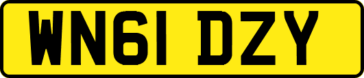 WN61DZY