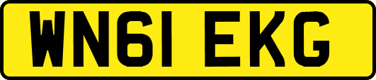 WN61EKG