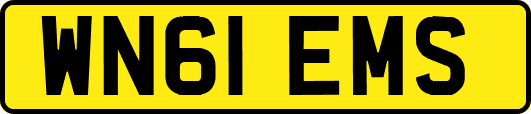 WN61EMS