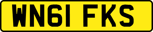 WN61FKS