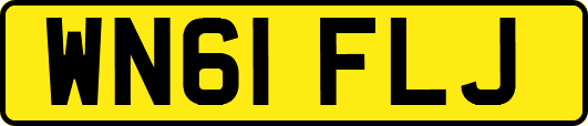 WN61FLJ