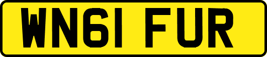 WN61FUR