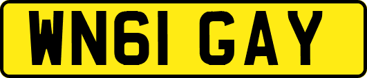 WN61GAY