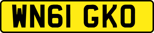 WN61GKO