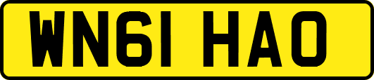 WN61HAO