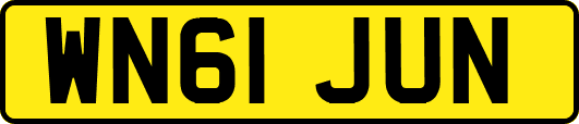 WN61JUN