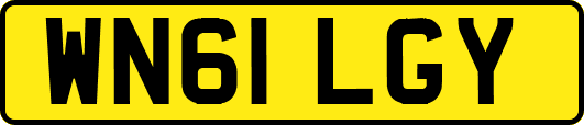 WN61LGY