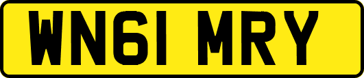 WN61MRY