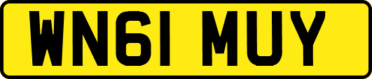WN61MUY