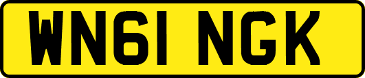 WN61NGK