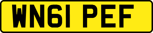 WN61PEF