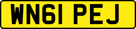 WN61PEJ