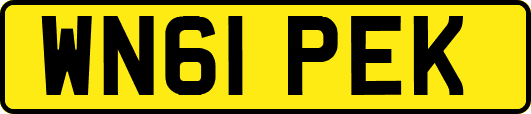 WN61PEK
