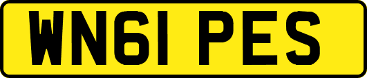 WN61PES