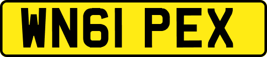 WN61PEX