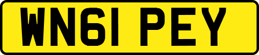 WN61PEY