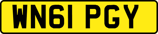 WN61PGY