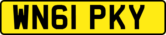 WN61PKY