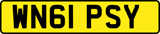 WN61PSY