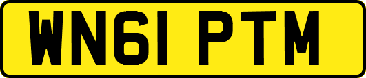 WN61PTM
