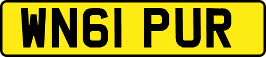 WN61PUR