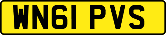 WN61PVS