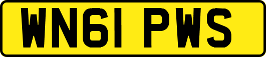 WN61PWS