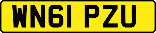 WN61PZU