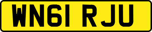 WN61RJU
