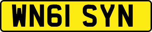 WN61SYN