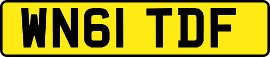 WN61TDF