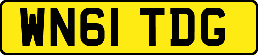 WN61TDG