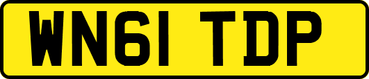WN61TDP