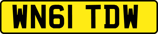 WN61TDW