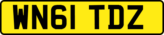 WN61TDZ