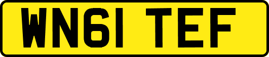 WN61TEF