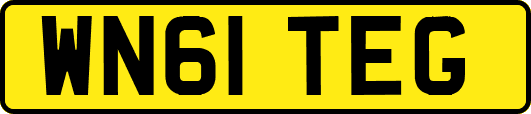 WN61TEG