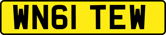 WN61TEW